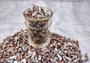 Cerithium Molniferus Seashells (approx. 190-200 pcs.). Multiple striped cone shaped shells in pile. Copyright 2025 SeaShellSupply.com.