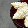 Precious Wentletrap Seashell Epitonium Scalare (1 shell approx. 1.5+ inches) Delicate Precious Wentletrap Shell for collecting & display! Precious Wentletrap Seashell Epitonium Scalare (1 shell approx. 1.5+ inches) Delicate Precious Wentletrap Shell for collecting & display!