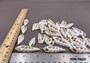 Cerithium Sliced/Center Cut Seashells (10 pcs.). White ribbed shells showing the inner cavities. Copyright 2024 SeaShellSupply.com.