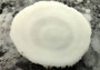 Cupped Mushroom Coral (2 pcs.) - (1-2\"). Two part shell white and ribbed. Copyright 2022 SeaShellSupply.com.
