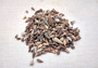 Dark Screw Seashell Assortment Cerithium Sulcata (approx. half cup 190+ shells 0.5+ inches) Mixed Brown Screw shells for arts & crafts! Copyright 2025 SeaShellSupply.com.