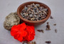 Dark Screw Seashell Assortment Cerithium Sulcata (approx. half cup 190+ shells 0.5+ inches) Mixed Brown Screw shells for arts & crafts! Copyright 2025 SeaShellSupply.com.