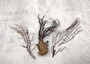 Black Sea Fan - Gorgonia Ventalina - (3 fans approx. 4-6+ inches). Multiple different angle branches with some parts of the root system. Copyright 2025 SeaShellSupply.com.