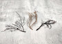 Black Sea Fan Corals Dried Gorgonia Ventalina (3 fans approx. 4-5+ inches) Natural sea fan coral branches for arts crafts & home decor!