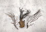 Black Sea Fan Corals Dried Gorgonia Ventalina (3 fans approx. 4-5+ inches) Natural sea fan coral branches for arts crafts & home decor!