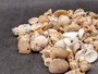Drilled Seashell Assorted Mix (approx. 1 pound 60-80 shells .75-2 inches). Multiple brown and white spiral ribbed shells in multiple different shapes and sizes. Copyright 2024 SeaShellSupply.com.