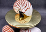 Natural Nautilus Seashell - Nautilus Pompilius - (1 shell approx. 5-6 inches). One brown and white striped spiral shell. Copyright 2024 Seashellsupply.com