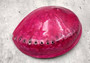 Polished Pink Midas Abalone - Haliotis Midae - (1 shell approx. 5-6 inches). One pink spiral glazed shell with wide opening and small spiral off to one side. Copyright 2022 SeaShellSupply.com.