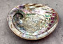 Polished Pink Midas Abalone - Haliotis Midae - (1 shell approx. 5-6 inches). One pink spiral glazed shell with wide opening and small spiral off to one side. Copyright 2022 SeaShellSupply.com.