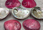 Polished Pink Midas Abalone - Haliotis Midae - (1 shell approx. 5-6 inches). One pink spiral glazed shell with wide opening and small spiral off to one side. Copyright 2022 SeaShellSupply.com.