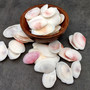Rose Petal Tellin Seashell Halves Pink Eurytellina Lineata (Approx. 20 HALF shells 1+ inches) Rose Pink Tellin Shells for arts & crafts!
