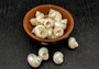 Pearlized Turbo Seashells (10 pcs.). Pile of spiral white glazed shells with medium sized openings. Copyright 2025 SeaShellSupply.com.