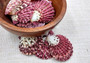 Royal Cloak Scallop Seashells - Pecten Pallium - (10 shells approx. 1-1.5 Inches) Pile of different shades of pink ribbed shells. Copyright 2025 SeaShellSupply.com.
