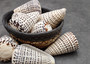 Leopard Cone Seashell Conus Leopardus (1 shell approx. 3+ inches) Cone shell great for coastal arts and crafts! Copyright 2025 SeaShellSupply.com.