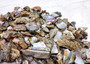 Pink Abalone Seashell Bulk Chips (Approx. 1 pound 900+ chips 0.25+ inches) Small Pink Abalone Shell Fragments for arts crafts & décor!
