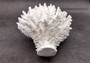 Table Coral Cluster - Acropora Latistella - (1 coral cluster approx. 7-10 inches). White coral bunch with little bubbly arms branching out from all directions, very full.Copyright 2022 SeaShellSupply.com.