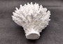 White Table Coral Large Cluster (1 coral approx. 7-9+ inches) White Corals great for coastal display, art projects, crafts & collecting!