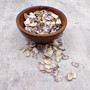 Purple Coquina Clam Shells Donax Variabilis (Approx. half cup +/-100 shells 0.25+ inches) Purple Coquina Clam for jewelry arts & crafts! Copyright 2026 SeaShellSupply.com.
