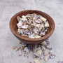Purple Coquina Clam Shells Donax Variabilis (Approx. half cup +/-100 shells 0.25+ inches) Purple Coquina Clam for jewelry arts & crafts! Copyright 2026 SeaShellSupply.com.