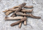 Driftwood Drilled Pieces (10 pieces approx. 3-5 inches). Multiple different wood parts with drilled holes, appear smooth. Copyright 2022 SeaShellSupply.com