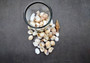 Small Seashell Assorted Ocean Mix (approx. 1 cup +/-35 shells 0.50-1.25+ inches) Small Shell Assortment for arts crafts & decoration!