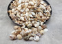 Small Seashell Assorted Ocean Mix (approx. 1 cup 35-40 shells .50-1.75 inches). Multiple different shaped shells all brown and white with different patterns. Copyright 2025 SeaShellSupply.com.