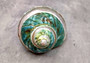 Polished Jade Turbo Shell w/Pearlized Stripe - Turbo Burgessi - (1 shell approx. 2.5-3 inches). Jade and green spiral ribbed shell with a cream band. Copyright 2024 SeaShellSupply.com.