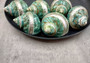 Polished Jade Turbo Shell w/Pearlized Stripe - Turbo Burgessi - (1 shell approx. 2.5-3 inches). Jade and green spiral ribbed shell with a cream band. Copyright 2024 SeaShellSupply.com.
