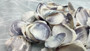 Purple Clam Shells (approx. 35-45 shells .5-1 inches). Purple and white ombre shells in a pile with wide open back. Copyright 2022 SeaShellSupply.com.
