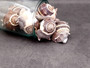 King Crown Conch Seashells Melongena Corona (2 shells approx. 2+ inches) Conch shell great for coastal crafting display & collections. Copyright 2025 SeaShellSupply.com.
