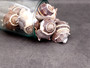 King Crown Conch Seashells Melongena Corona (2 shells approx. 2+ inches) Conch shell great for coastal crafting display & collections. Copyright 2025 SeaShellSupply.com. King Crown Conch Seashells Melongena Corona (2 shells approx. 2+ inches) Conch shell great for coastal crafting display & collections. Copyright 2025 SeaShellSupply.com.