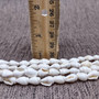 White Nassa Shell Leis (3 Leis Approx. .25 x 28 Inches). White little shells strung through string. Copyright 2026 SeaShellSupply.com.