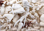 Small Coral Pieces White Brown Assorted Mix (approx. 1 pound 0.5-1.5+ inches) White Coral Fragment Assortment for crafts arts & display! Copyright 2025 SeaShellSupply.com.