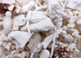 Small Coral Pieces White Brown Assorted Mix (approx. 1 pound 0.5-1.5+ inches) White Coral Fragment Assortment for crafts arts & display! Copyright 2025 SeaShellSupply.com.