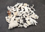 Small Coral Pieces White Brown Assorted Mix (approx. 1 pound 0.5-1.5+ inches) White Coral Fragment Assortment for crafts arts & display! Copyright 2025 SeaShellSupply.com.
