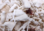 Small Coral Pieces White Brown Assorted Mix (approx. 1 pound 0.5-1.5+ inches) White Coral Fragment Assortment for crafts arts & display! Copyright 2025 SeaShellSupply.com.
