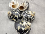 Polished West Indian Top/Magpie Seashell - Cittarium Pica - (1 shell 2-2.5 inches). Black and white spotted spiral shell with cute little opening. Copyright 2025 SeaShellSupply.com.
