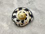 West Indian Top Polished Seashell or Magpie Striped Shell Cittarium Pica (1 shell approx. 2+ inches) Natural Sea Shell for Arts & Crafts!