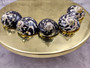 West Indian Top Polished Seashell or Magpie Striped Shell Cittarium Pica (1 shell approx. 2+ inches) Natural Sea Shell for Arts & Crafts!