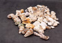 Indian Ocean Mix - (Approx. 1 Kilogram/2.2 lbs., 160-180 shells, 1-3 inches). Different sized spiral shells in a pile ranging multiple colors. Copyright 2025 SeaShellSupply.com.