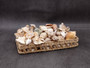 Medium Seashell Assorted Ocean Mix - (Approx 2.2 pounds, Approx. 1 - 2.25 inches). A bunch of tan little shells with wide open backs. Copyright 2025 SeaShellSupply.com.