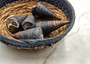 Telescope Snail Shell - Telescopium telescopium - (5 shells approx. 2 inches). Brown and tan spiral shells. Copyright 2025 SeaShellSupply.com.