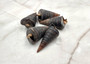 Telescope Snail Shell - Telescopium telescopium - (5 shells approx. 2 inches). Brown and tan spiral shells. Copyright 2025 SeaShellSupply.com.
