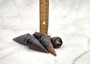 Telescope Snail Shell - Telescopium telescopium - (5 shells approx. 2 inches). Brown and tan spiral shells. Copyright 2025 SeaShellSupply.com.