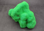 Bright Green FAUX Brain Coral - Lobophyllia Hemprichii - (1 FAUX Coral approx. 8.5x5x5.5 inches). Green almost squishy looking maze patterned coral known as brain coral. Copyright 2024 SeaShellSupply.com.
