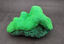 Bright Green FAUX Brain Coral - Lobophyllia Hemprichii - (1 FAUX Coral approx. 8.5x5x5.5 inches). Green almost squishy looking maze patterned coral known as brain coral. Copyright 2024 SeaShellSupply.com.