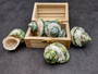 Banded Green Turbo Seashells - Turbo Chrysostomus - (2 shells approx. 1.5-2 inches). A spiral shell with a light gold band and very pretty shaded areas of different shades of green and black with a mainly white inside. Copyright 2022 SeaShellSupply.com.