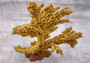 Yellow/Tan FAUX Branch Coral - Acropora Florida - (1 Coral, Approx. 12x10x5 inches). Gold branched sea fan with multiple different textures and sized branches. Copyright 2025 SeaShellSupply.com.