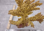 Yellow/Tan FAUX Branch Coral - Acropora Florida - (1 Coral, Approx. 12x10x5 inches). Gold branched sea fan with multiple different textures and sized branches. Copyright 2025 SeaShellSupply.com.