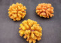 Yellow Faux Coral Cluster - Pocillopora Elegans - (1 FAUX Coral approx. 5Wx3Dx4T). Orange and pink tinted fluffy heavily textured coral cluster with many arms. Copyright 2024 SeaShellSupply.c